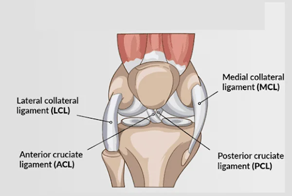 Knee Ligament Reconstruction